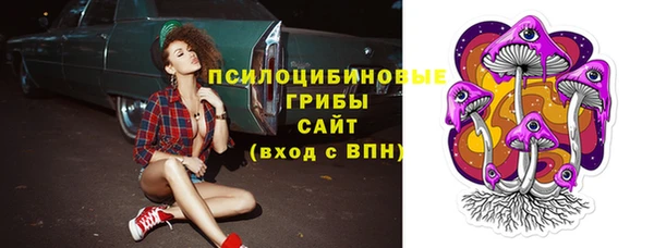 ПСИЛОЦИБИНОВЫЕ ГРИБЫ Иннополис