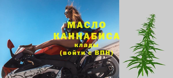 2c-b Инсар