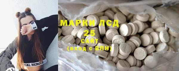 ПСИЛОЦИБИНОВЫЕ ГРИБЫ Иннополис