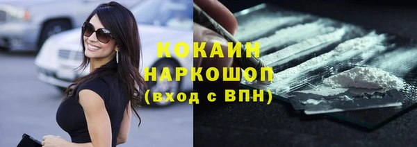 2c-b Инсар