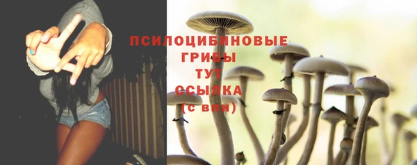 ПСИЛОЦИБИНОВЫЕ ГРИБЫ Иннополис