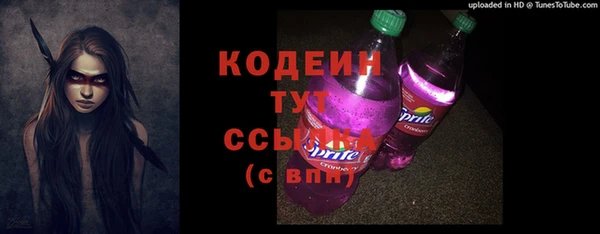 2c-b Инсар