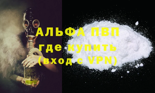 ПСИЛОЦИБИНОВЫЕ ГРИБЫ Иннополис