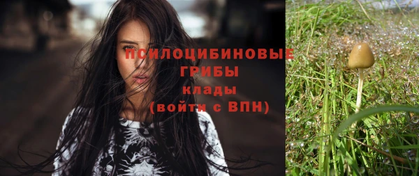 2c-b Инсар