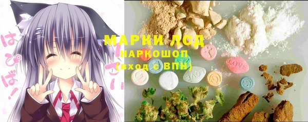 2c-b Инсар