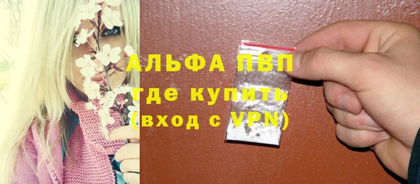 ПСИЛОЦИБИНОВЫЕ ГРИБЫ Иннополис