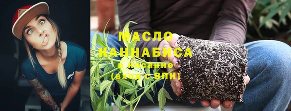 2c-b Инсар