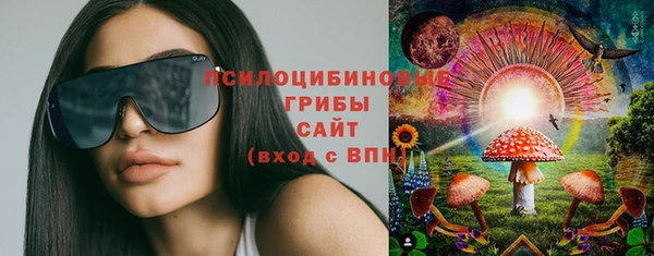 2c-b Инсар