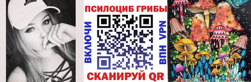 Купить где Губаха Галлюциногенные грибы прущие грибы
